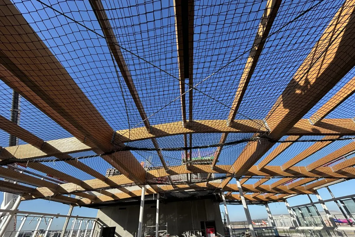 Looking up at a glulam timber canopy structure with safety netting slung beneath it